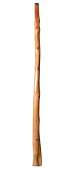 Tristan O'Meara Didgeridoo (TM474)